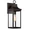 Meridian 15 1/4" High Oil-Rubbed Bronze Outdoor Wall Light