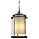 Meridian 15 3/4" High Coastal Bronze Outdoor Hanging Light