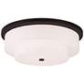 2_Meridian 5 Light Bronze Ceiling Mount