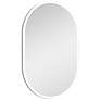 Meridian Frosted 20" x 32" LED Lighted Vanity Wall Mirror
