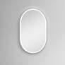 Meridian Frosted 25" x 40" LED Lighted Vanity Wall Mirror