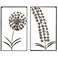 Metal Garden 19 3/4" High 2-Piece Framed Metal Wall Art Set