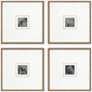 1_Metamorphosis I 21"W x 21"H Framed Art Set of 4