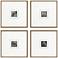 Metamorphosis I 21"W x 21"H Framed Art Set of 4