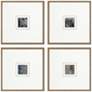 1_Metamorphosis II 21"W x 21"H Framed Art Set of 4