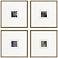 Metamorphosis II 21"W x 21"H Framed Art Set of 4