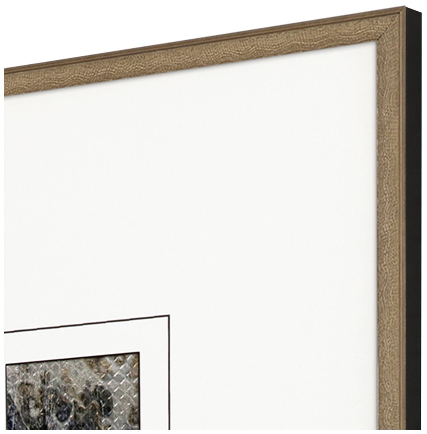 Image 3 Metamorphosis II 21"W x 21"H Framed Art Set of 4 more views