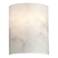 Metropolitan Lighting Andalucia 10" Alabaster Dust Glass Wall Sconce
