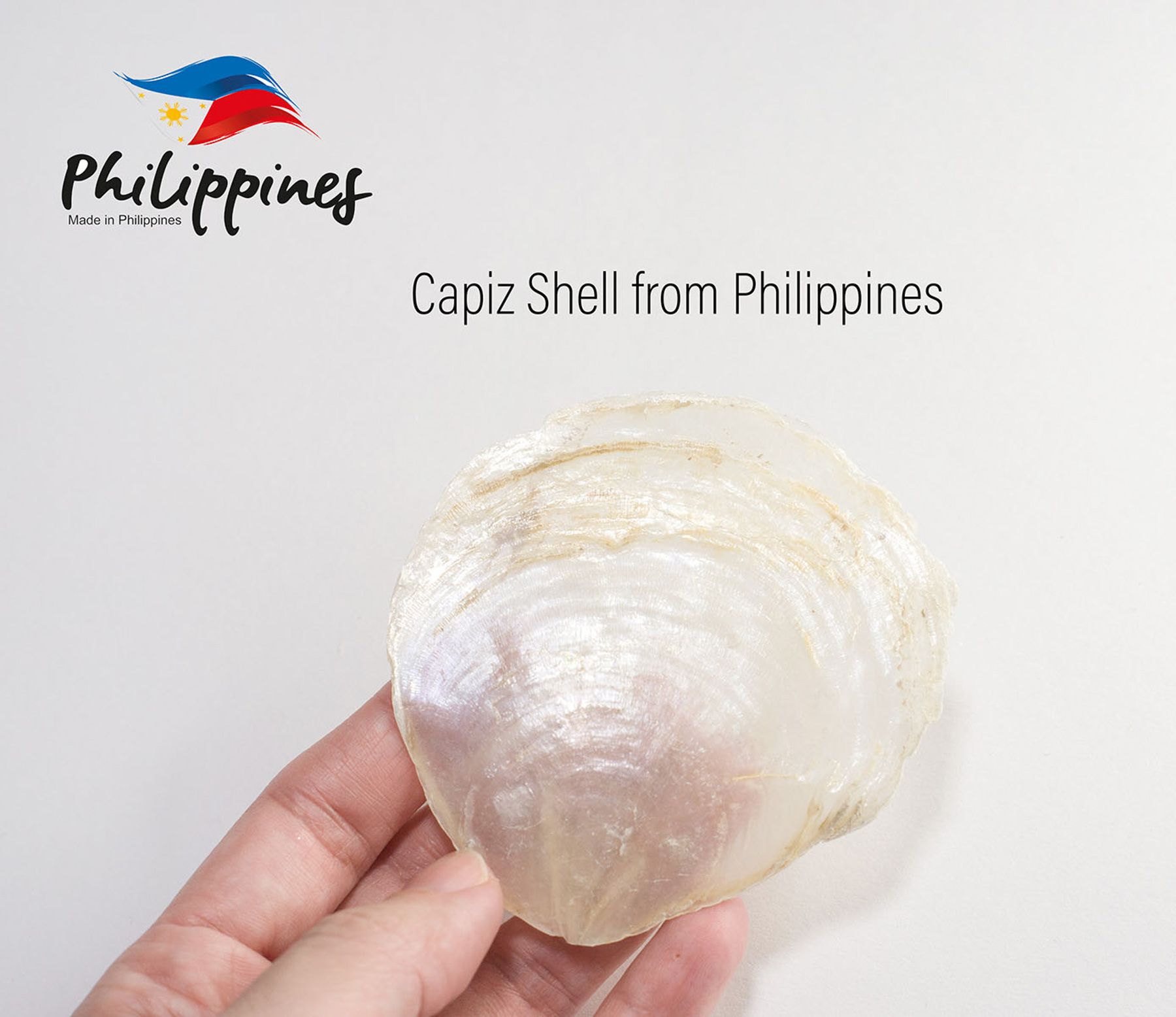 Metropolitan Sommers Bend 4-Light Fawn Gold 17-in Semi-Flush