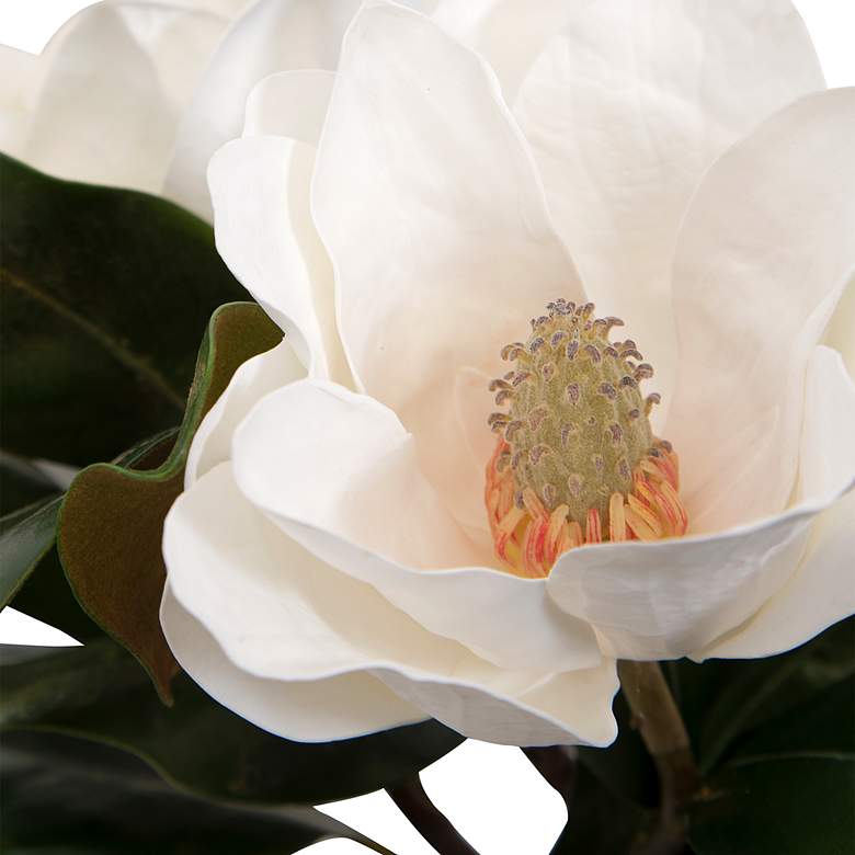 Image 4 Middleton White Magnolia 16 1/2" Wide Faux Flowers in Vase more views
