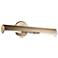 Midi 18" Wide Champagne Bronze Direct Wire Picture Light