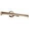 Midi 24" Wide Champagne Bronze Direct Wire Picture Light
