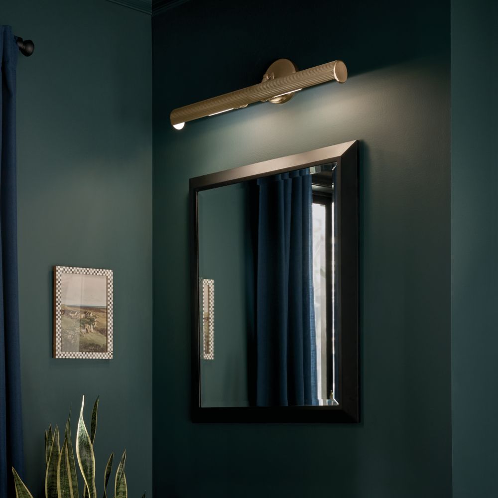 Midi 24" Wide Champagne Bronze Direct Wire Picture Light