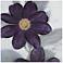 Midnight Bloom Plum 30" Square Canvas Wall Art