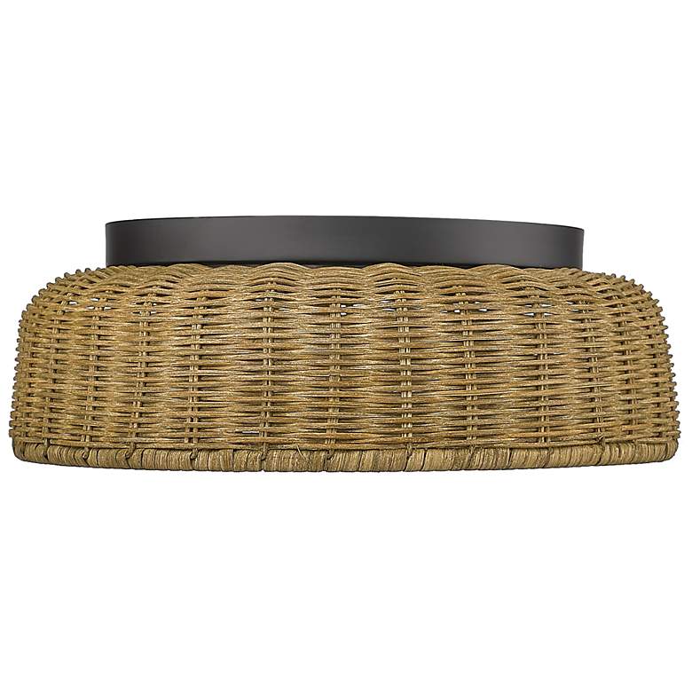 Image 1 Millennium Flushmount Ceiling Light Black