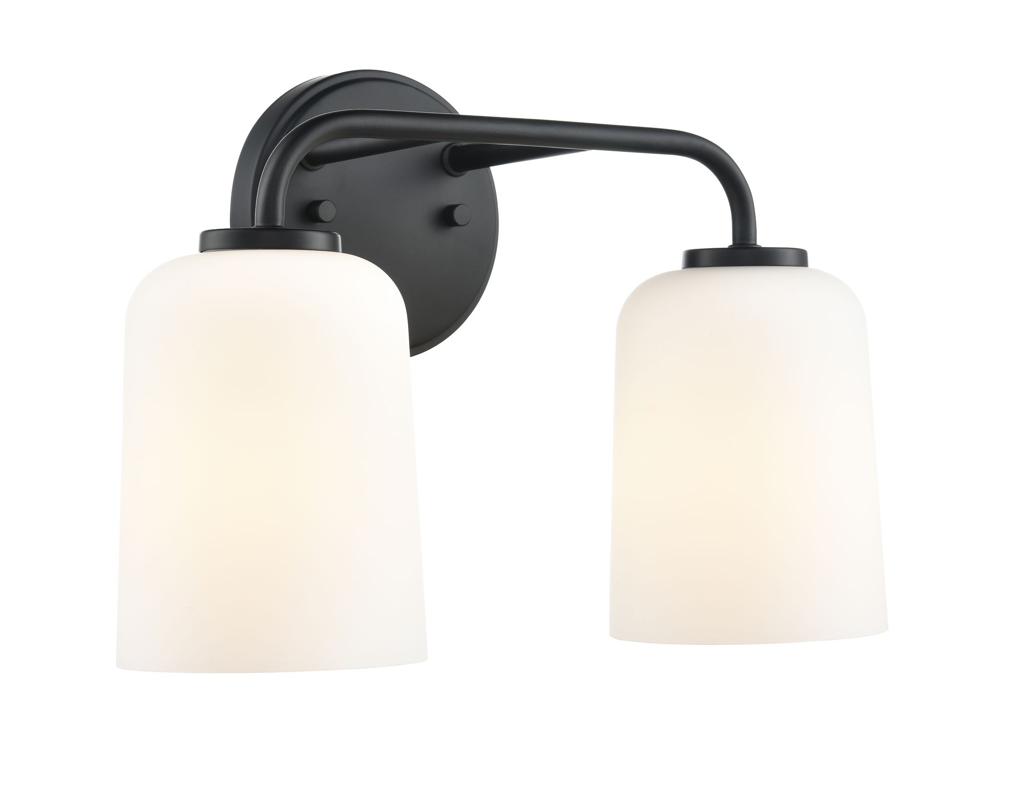 Image 2 Millennium Laphia 2-Light 14" Matte Black Vanity Light with Glass Shade more views