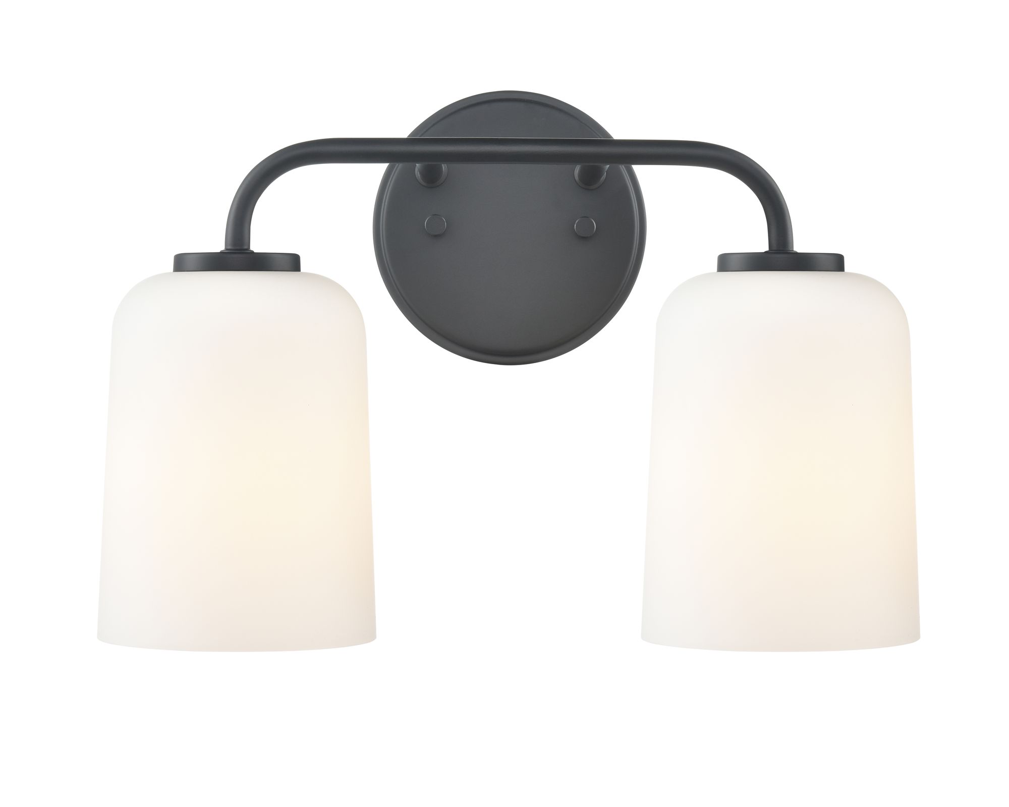 Image 3 Millennium Laphia 2-Light 14" Matte Black Vanity Light with Glass Shade more views