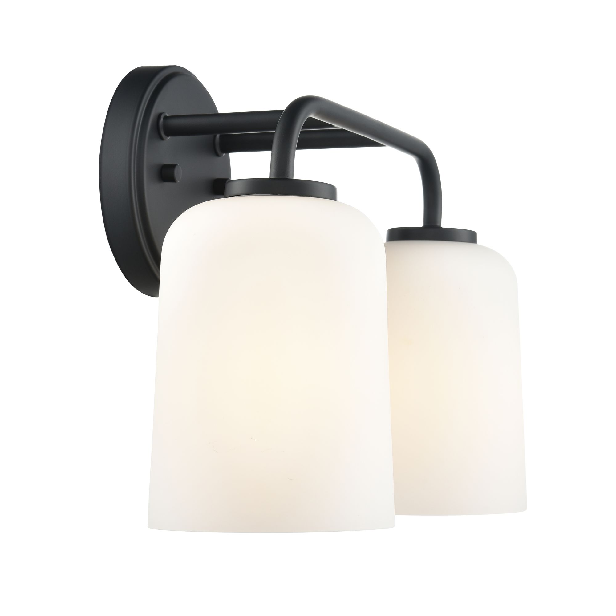 Image 4 Millennium Laphia 2-Light 14" Matte Black Vanity Light with Glass Shade more views