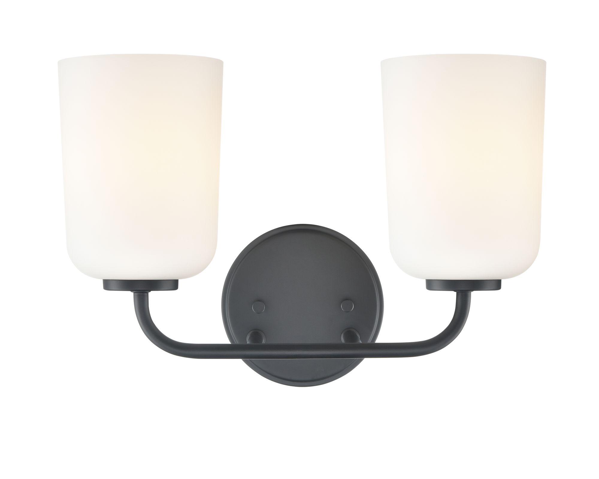 Image 5 Millennium Laphia 2-Light 14" Matte Black Vanity Light with Glass Shade more views