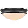 2_Millennium Lighting 1 Light 10" Flush Mount Fixture in Matte Back