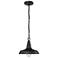 Millennium Lighting 1 Light Outdoor Pendant Powder Coat Black