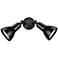 Millennium Lighting 2 Light Flood Lights Powder Coat Black