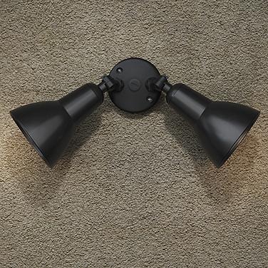 Millennium Lighting 2 Light Flood Lights Powder Coat Black