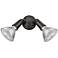 Millennium Lighting 2 Light Flood Lights