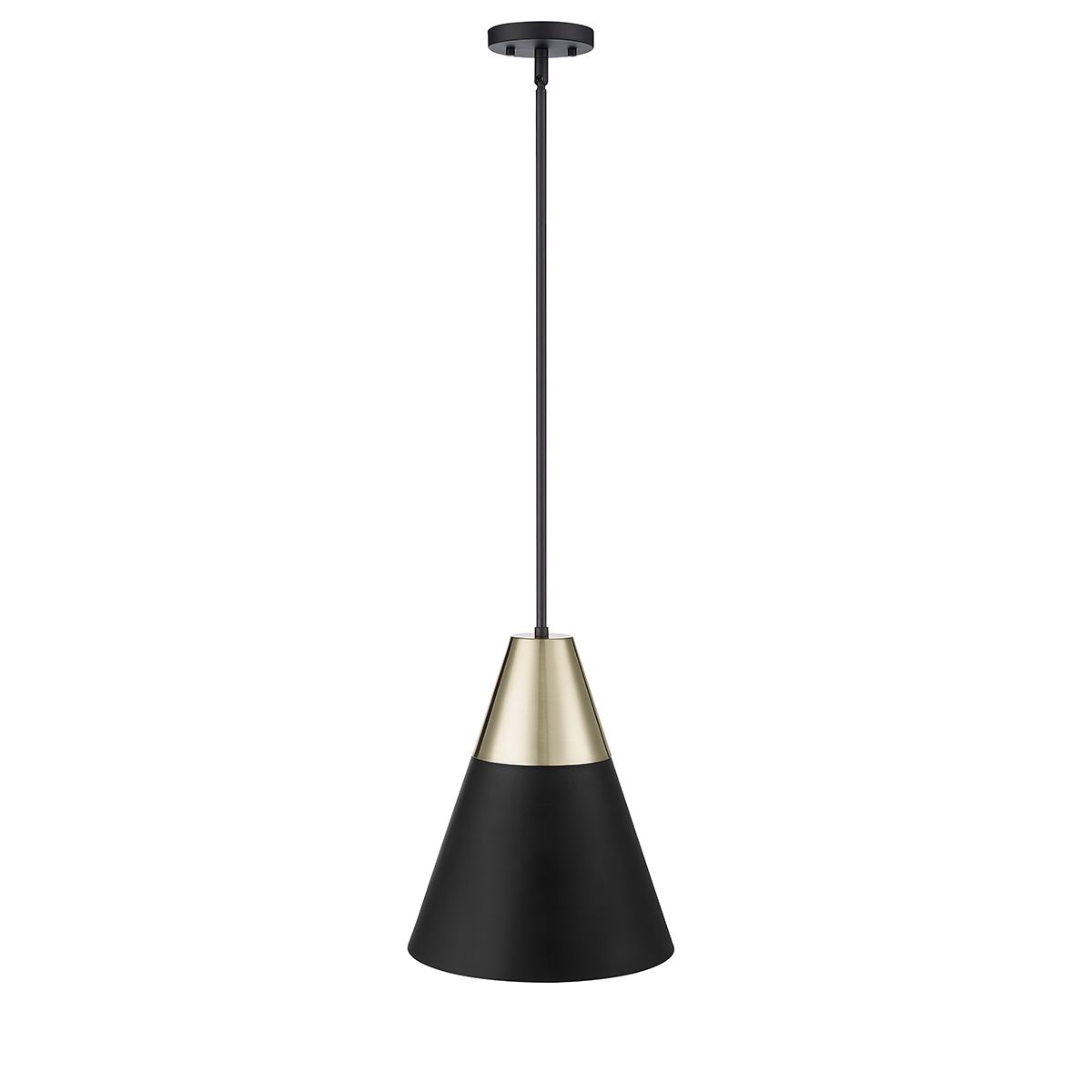 Image 5 Millennium Lighting 4-Light Pendant in Nickel more views