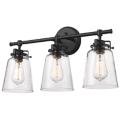 Millennium Lighting Amberose Black Collection