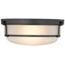 1_Millennium Lighting Arlson 2 Light Flushmount Ceiling Light