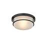 3_Millennium Lighting Arlson 2 Light Flushmount Ceiling Light more views