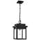 Millennium Lighting Belle Chasse 1 Light Outdoor Pendant Powder Coat Black
