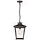 Millennium Lighting Bellmon 1 Light Outdoor Pendant in Powder Coat Bronze