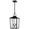 Millennium Lighting Devens 2 Light Outdoor Hanging Lantern in Black