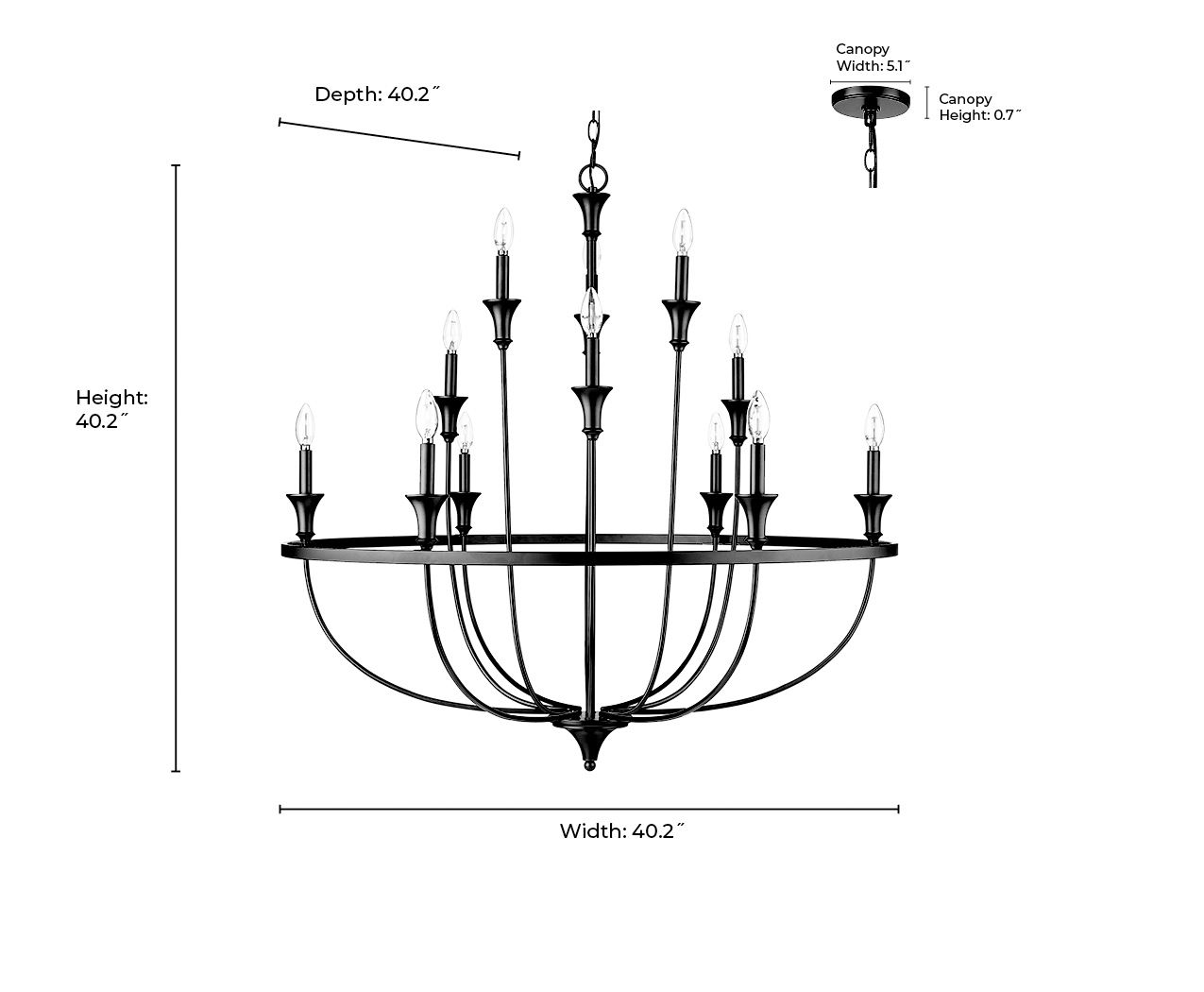 Millennium Lighting Emery 12-Light Chandelier in Matte Black