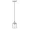 Millennium Lighting Evalon 1 Light Mini-Pendant Fixture in Brushed Nickel