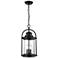 Millennium Lighting Livingston 3-Light Outdoor Pendant in Black
