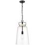 Millennium Lighting Lolla 1-Light Pendant in Matte Black
