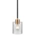 Millennium Lighting Renitta 1 Light Mini-Pendant Fixture in Matte Black