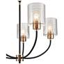 4_Millennium Lighting Renitta 5 Light Chandelier Fixture in Matte Black more views