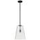 Millennium Lighting Saben 1-Light Pendant in Matte Black