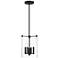 Millennium Lighting Vissi 4-Light Pendant in Matte Black
