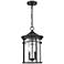 Millennium Namath Outdoor Hanging Lantern Textured Black
