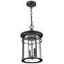 3_Millennium Namath Outdoor Hanging Lantern Textured Black more views