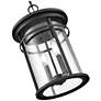 5_Millennium Namath Outdoor Hanging Lantern Textured Black more views
