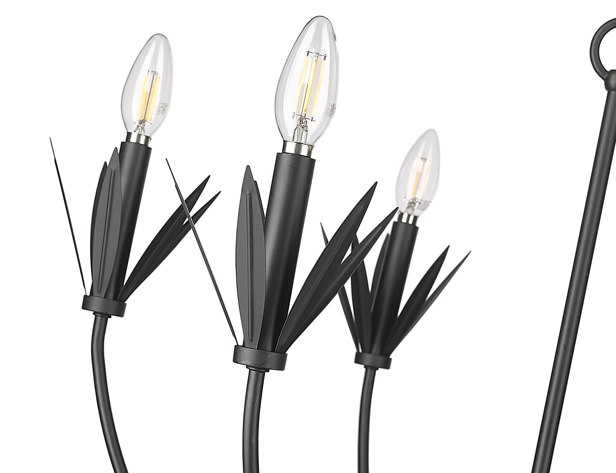Image 6 Millennium Primrose 6-Light 30.5" Matte Black Chandelier more views