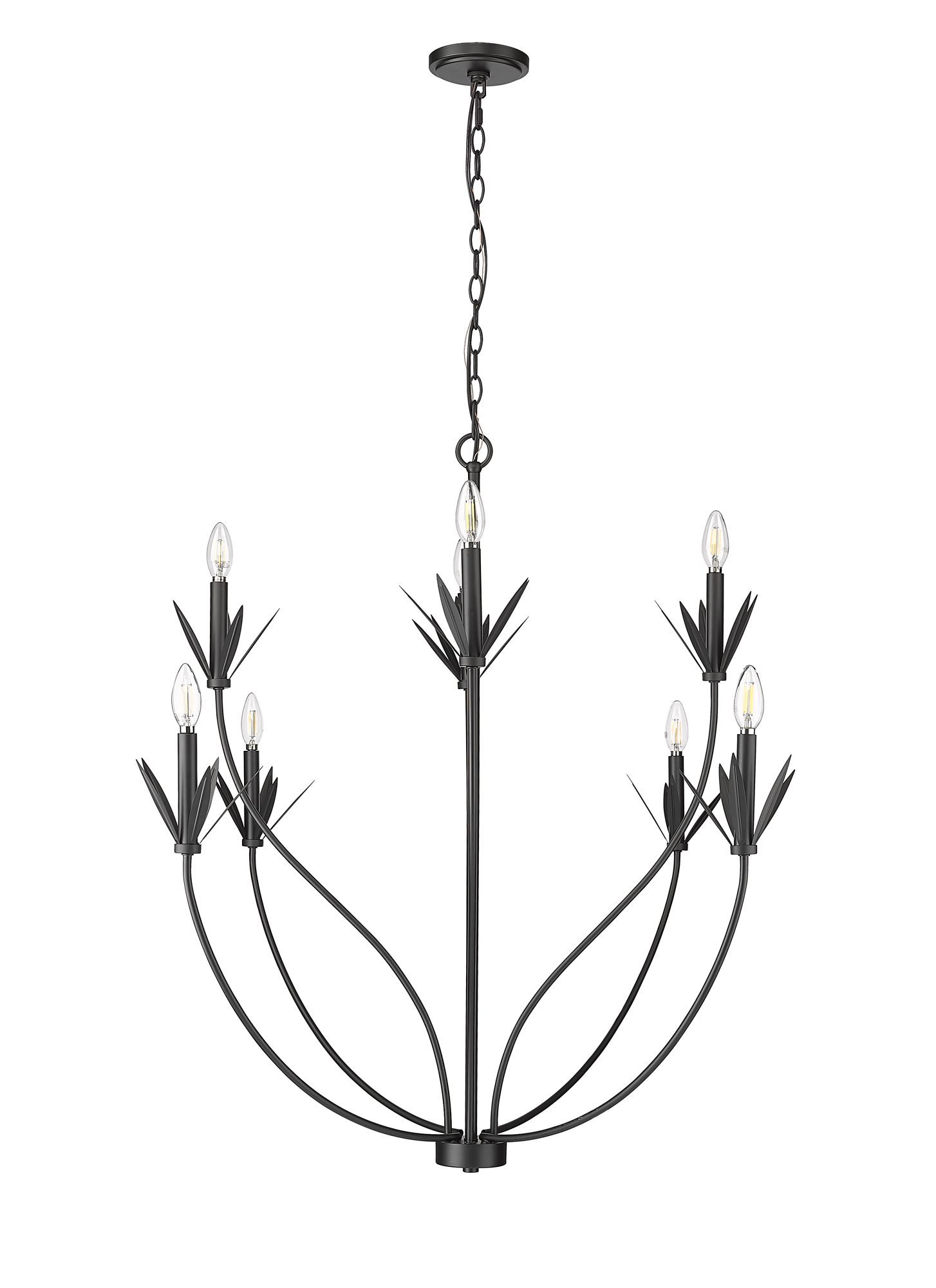 Thumbnail2 of Millennium Primrose 8-Light 40.5" Matte Black Chandelier more views
