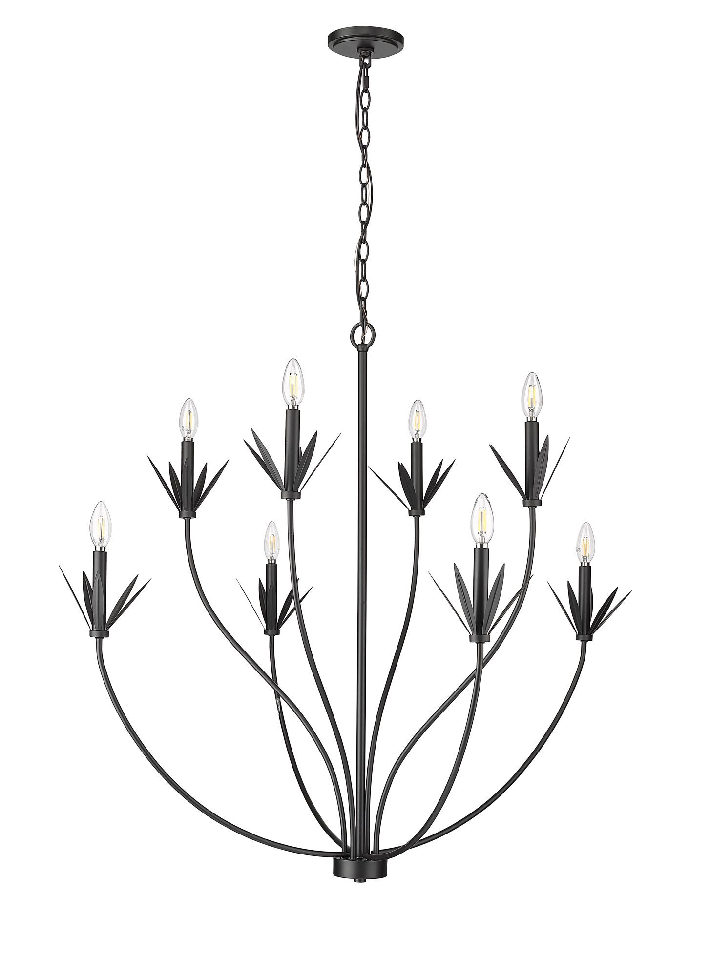 Thumbnail3 of Millennium Primrose 8-Light 40.5" Matte Black Chandelier more views