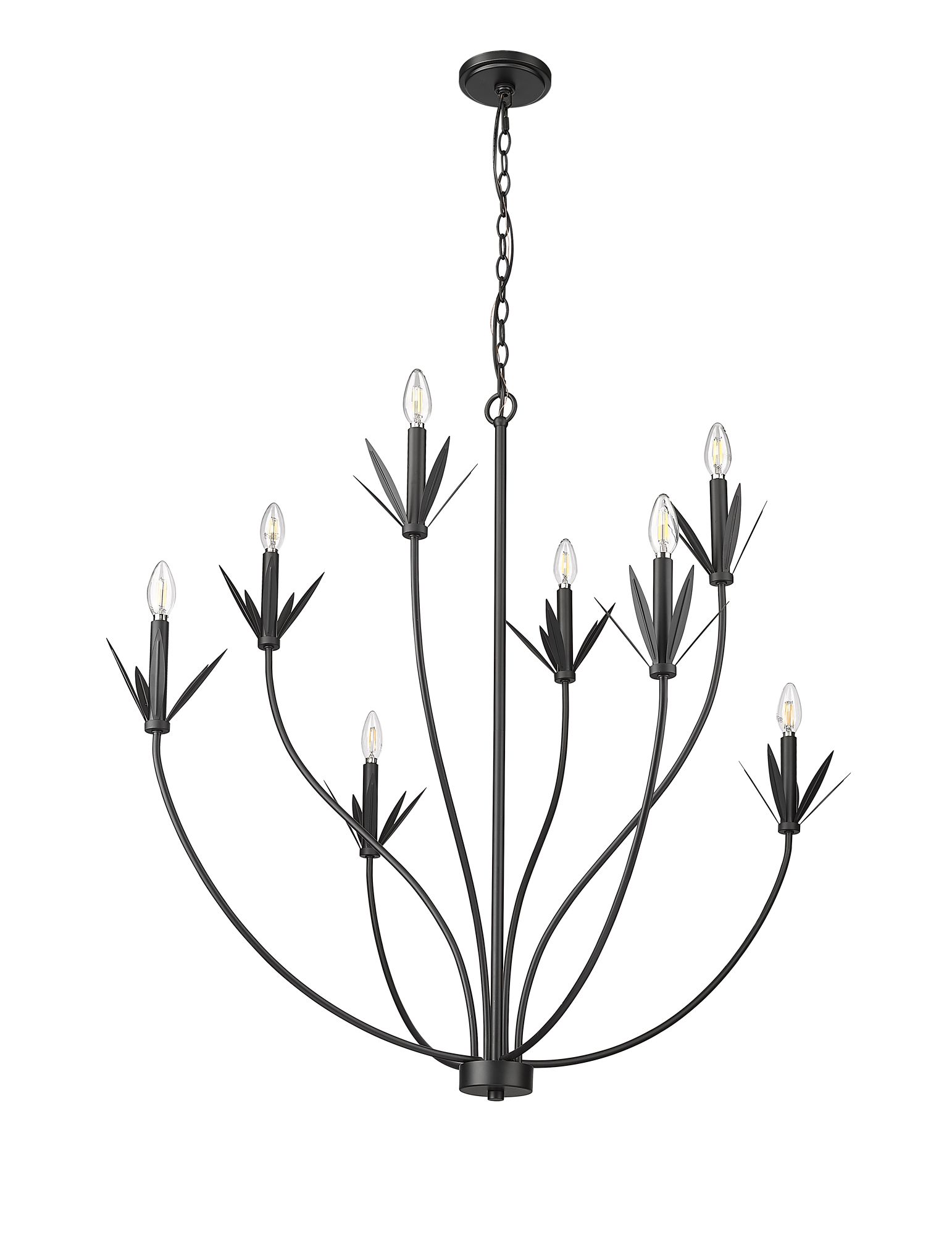 Thumbnail4 of Millennium Primrose 8-Light 40.5" Matte Black Chandelier more views